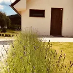 Grand Dom wakacyjny Sklené Teplice
