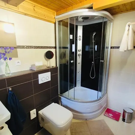 بيت للعطل Grand Sklené Teplice