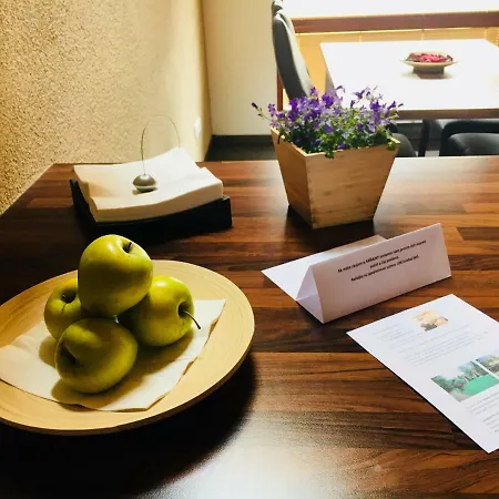 Feriehus Grand Sklené Teplice