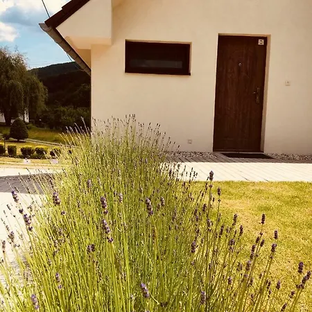 Grand בית נופש Sklené Teplice