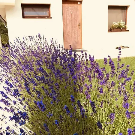 بيت للعطل Grand *