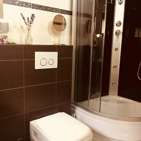 Grand 度假居 Sklené Teplice