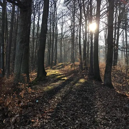 بيت للعطل Grand