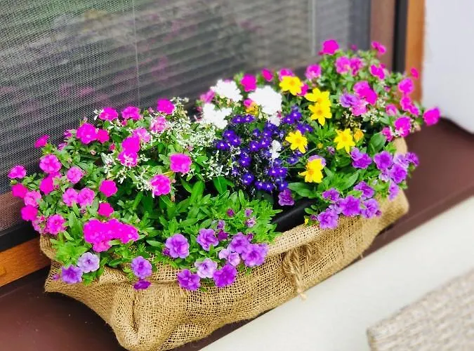 Hébergement de vacances Grand Sklené Teplice