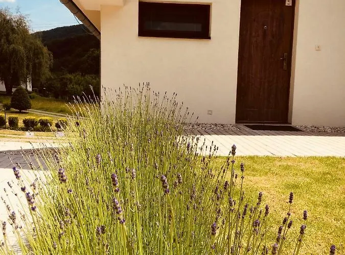 Grand בית נופש Sklené Teplice