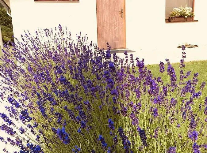 בית נופש Grand *