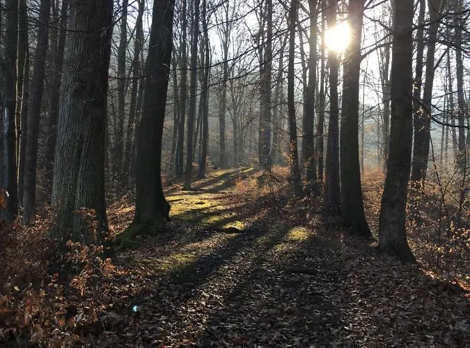 בית נופש Grand